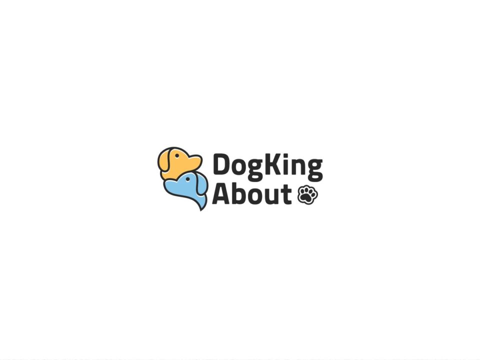 DogKing About 로고 디자인 - 레이어웍스